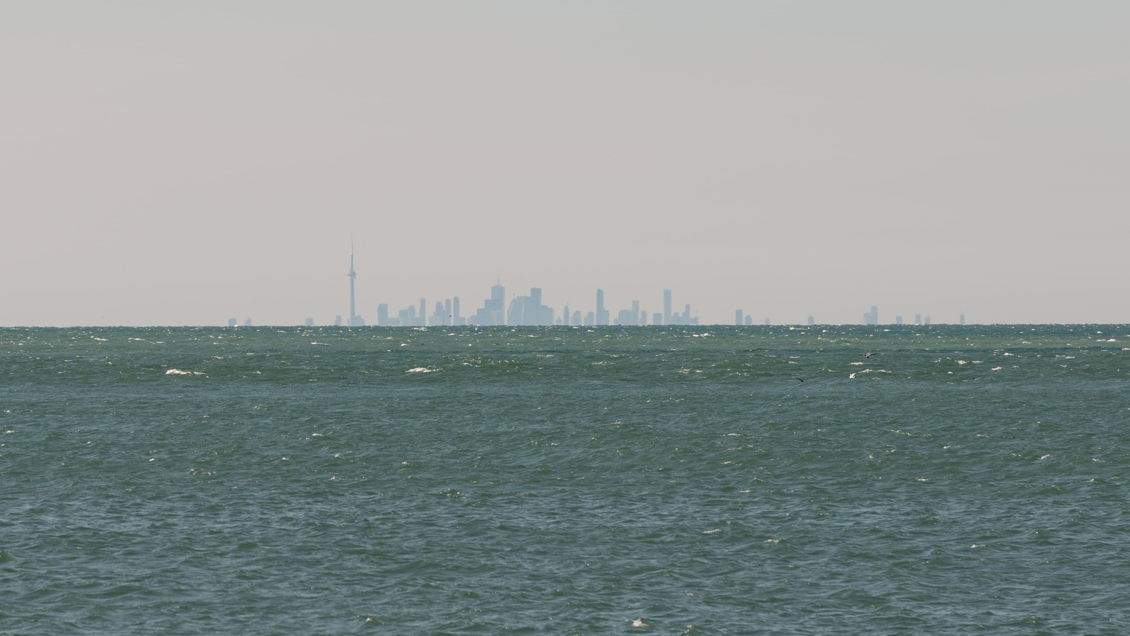 The Toronto skyline seen across Lake Ontario