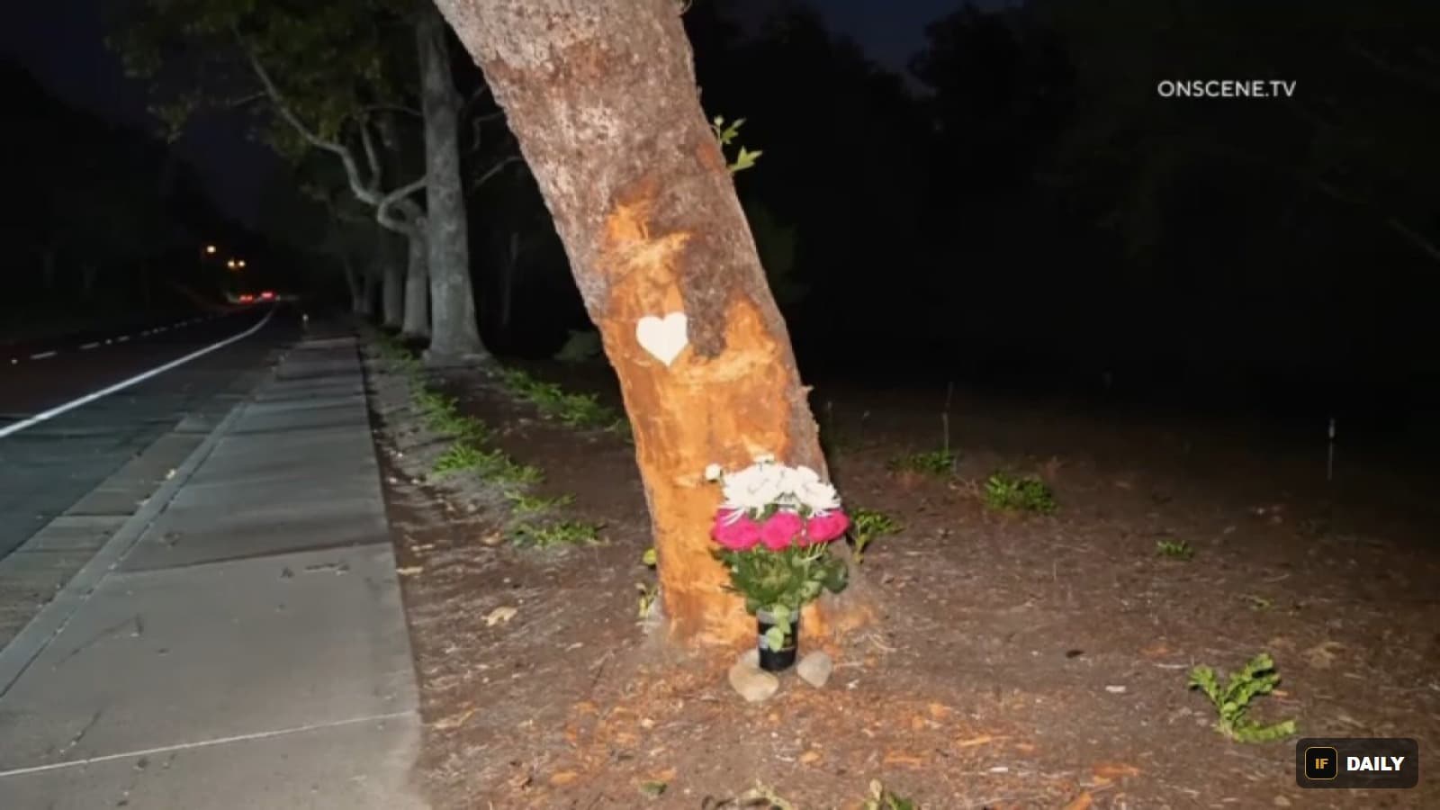 A tree at night with a heart carved into its bark and a bouquet of flowers left at its base as a roadside memorial
