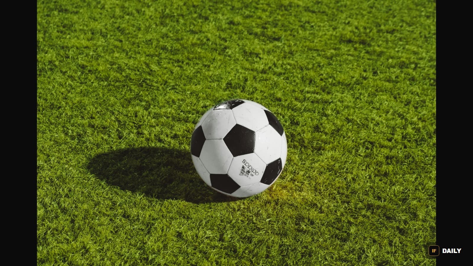 A classic black-and-white soccer ball resting on green grass