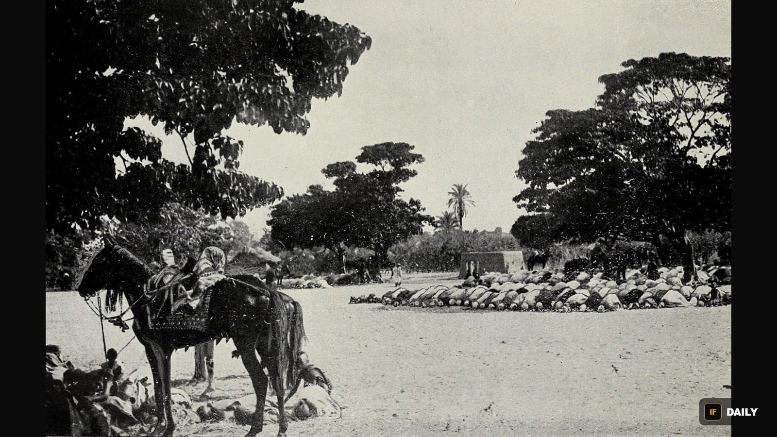 Historical photograph of a Friday prayer gathering in Bida, in what is now Niger State, Nigeria