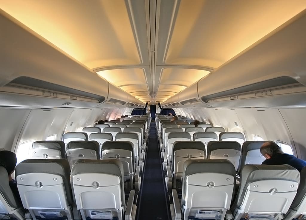 The interior of a commercial airplane cabin (file photo, not the actual flight)