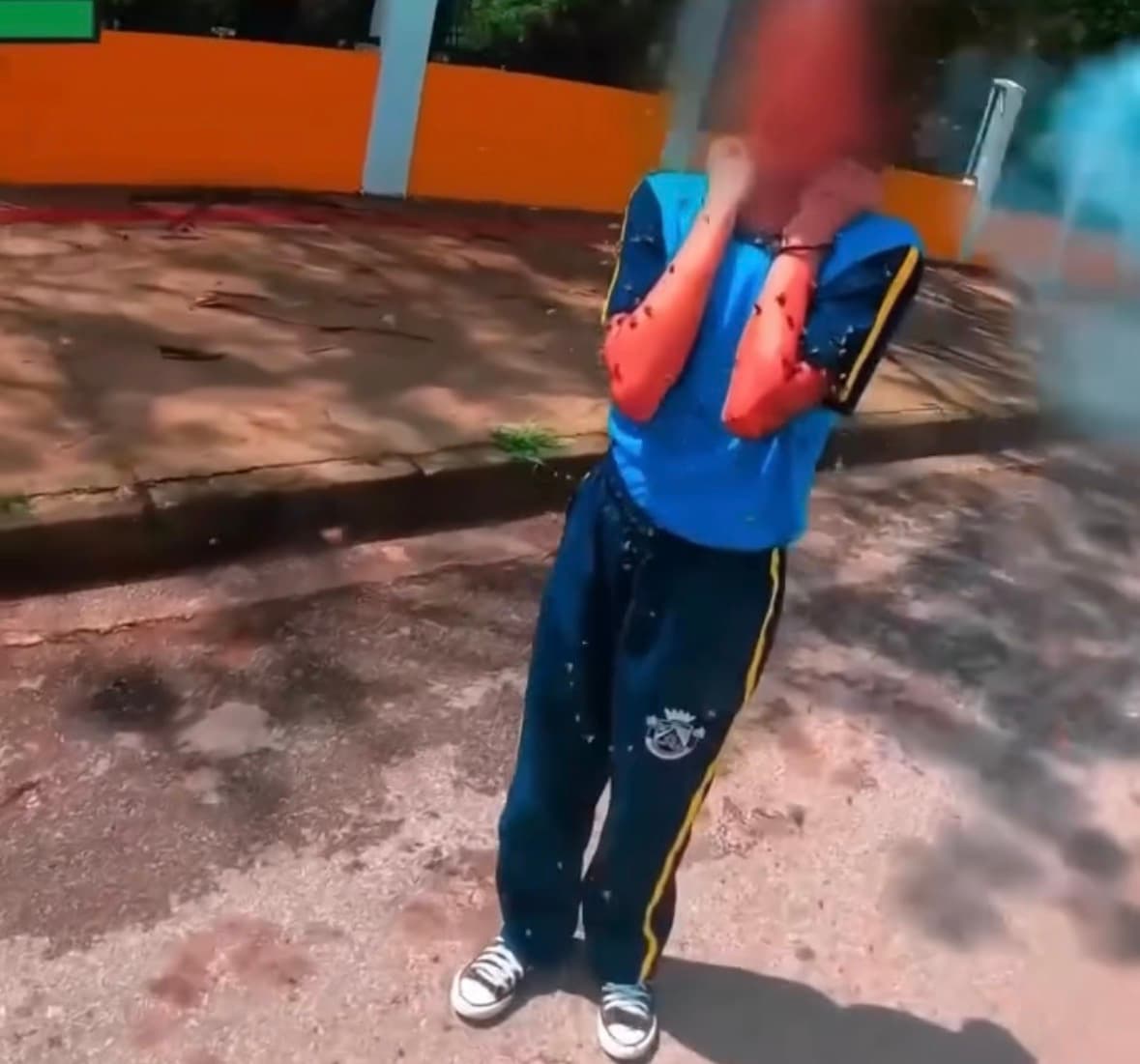 Motorcycle courier rescues girl from massive bee swarm in Brazil